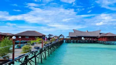 Panduan Wisata Pulau Derawan: Lokasi, Tips Liburan, dan Daya Tarik Alamnya Lengkap