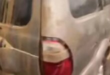 Panther Lawas Bertahan Saat Banjir, Warganet Ingatkan Risiko dan Bahaya Lingkungan