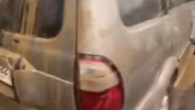 Panther Lawas Bertahan Saat Banjir, Warganet Ingatkan Risiko dan Bahaya Lingkungan