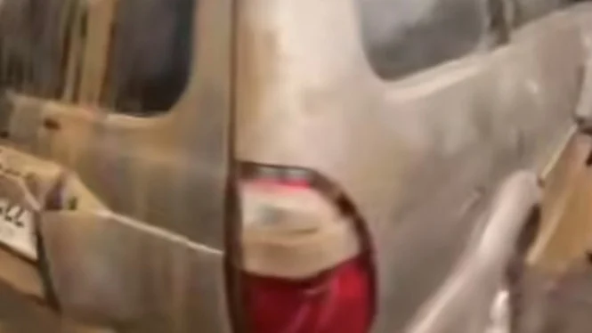 Panther Lawas Bertahan Saat Banjir, Warganet Ingatkan Risiko dan Bahaya Lingkungan