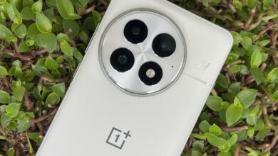 Pembaruan OxygenOS Terbaru Hadirkan Filter Neon, Mode XPAN, dan Patch Keamanan Terbaru