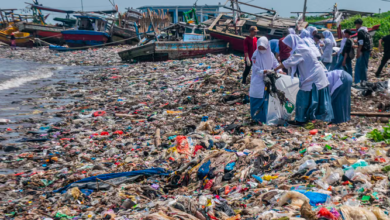 Pemerintah Targetkan Penutupan TPA Suwung, Dorong Bali Berhenti Buang Sampah Terbuka