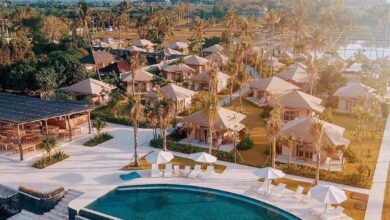 Pengalaman Menginap di Tempat Glamping Paling Seru, Nikmati Keindahan Alam yang Menyegarkan