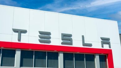 Penjualan Tesla di Tiongkok Naik 9,9% pada November, BYD Turun 5,3% di Pasar Domestik