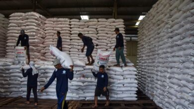 Pentingnya Penetapan Upah Minimum yang Seimbang untuk Lindungi Buruh dan Usaha Lokal