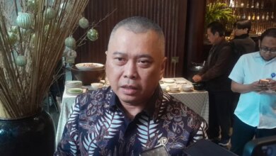 Penurunan 2 Persen Wisatawan Lokal ke Bali Selama Libur Akhir Tahun Menurut Menhub