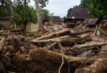 Perbanas Yakin Ekonomi RI Tumbuh 5% Meski Sumatra Dilanda Banjir, Ini Alasannya