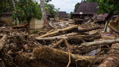 Perbanas Yakin Ekonomi RI Tumbuh 5% Meski Sumatra Dilanda Banjir, Ini Alasannya