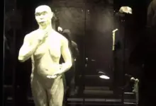 Perjalanan Fosil Java Man: Dari Penemuan Hingga Kembalinya ke Tanah Air Indonesia