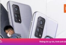 Persaingan Harga Ponsel Semakin Panas, Produsen Ramaikan Pasar dengan Pilihan Terjangkau