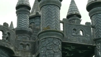 Pesona Lereng Merbabu: Destinasi Eksotis dengan Pemandangan Alam dan Kastil Menakjubkan