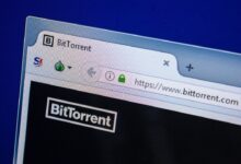 Platform Torrent Tetap Digemari Berkat Koleksi Lengkap dan Komunitas yang Aktif