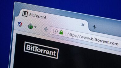 Platform Torrent Tetap Digemari Berkat Koleksi Lengkap dan Komunitas yang Aktif