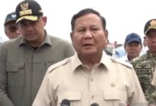 Prabowo Tegaskan Pembalakan Liar Mulai Ditertibkan untuk Lindungi Hutan Indonesia