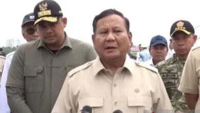 Prabowo Tegaskan Pembalakan Liar Mulai Ditertibkan untuk Lindungi Hutan Indonesia
