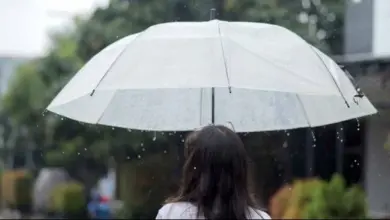 Prakiraan Cuaca Hari Ini: Potensi Hujan Petir dan Turunnya Curah Hujan di Jakarta