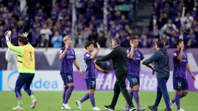 Prediksi Sanfrecce Hiroshima vs Shanghai Shenhua: Analisis Tim dan Potensi Hasil Pertandingan
