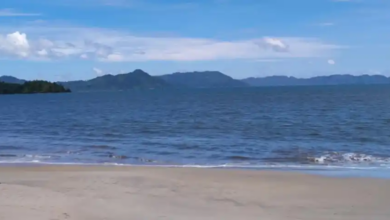 Pulau Pane, Permata Tersembunyi Sumatra Utara yang Menyuguhkan Pesona Alam Eksotis