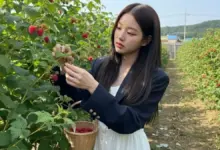 Rahasia Hasilkan Foto Raspberry Memukau Hanya dengan AI dan Tanpa Keahlian Editing