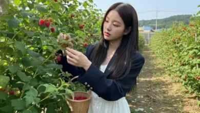 Rahasia Hasilkan Foto Raspberry Memukau Hanya dengan AI dan Tanpa Keahlian Editing