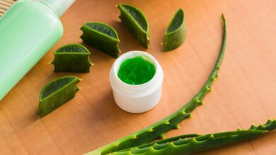 Rahasia Lidah Buaya: Solusi Alami Atasi Rambut Rontok dan Kering dengan Efektif