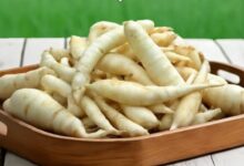 Rahasia Umbi Garut dalam Minuman Ini: Solusi Alami Atasi GERD dan Maag Menurut Ahli Gizi