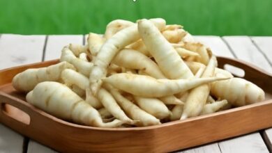 Rahasia Umbi Garut dalam Minuman Ini: Solusi Alami Atasi GERD dan Maag Menurut Ahli Gizi