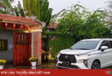 Rayakan Natal & Tahun Baru 2026, Dapatkan Diskon hingga 150 Juta VND untuk Pembelian Toyota