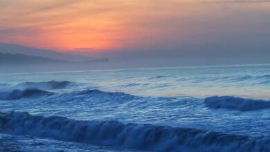 Rekomendasi Pantai Terindah di Sekitar Lumajang untuk Liburan Seru dan Menenangkan
