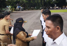 Rencana Penghapusan PPPK Paruh Waktu Disiapkan oleh Kepala Daerah Setempat