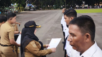 Rencana Penghapusan PPPK Paruh Waktu Disiapkan oleh Kepala Daerah Setempat