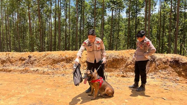 Reno, Anjing Pelacak K-9 Polda Riau Gugur Saat Operasi Cari Korban Bencana di Sumbar