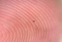 Robot Menari Sekecil Butiran Garam, Inovasi Teknologi Mikro yang Menakjubkan