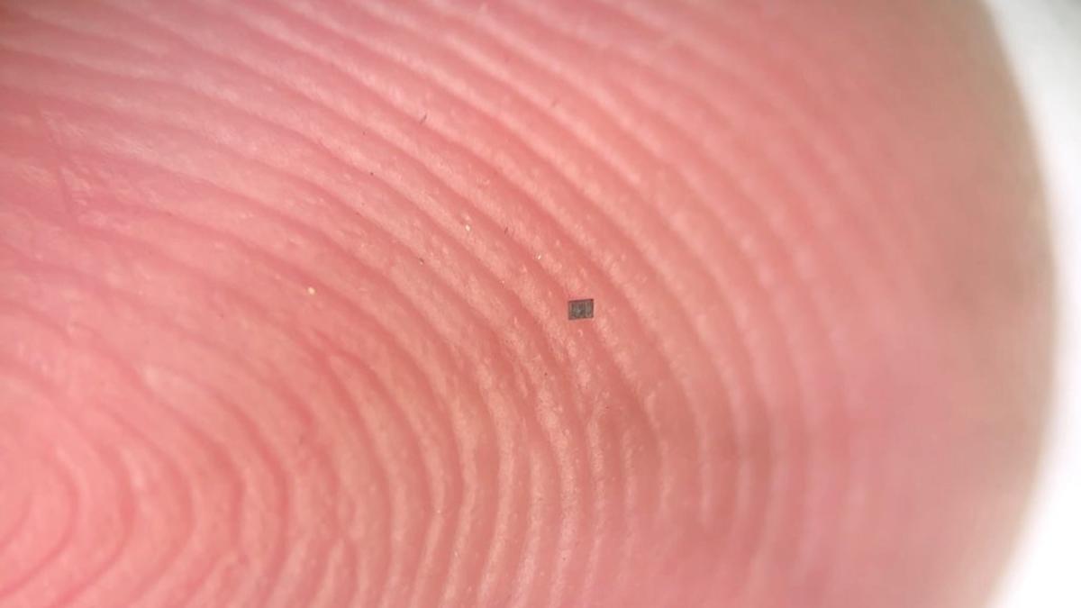 Robot Menari Sekecil Butiran Garam, Inovasi Teknologi Mikro yang Menakjubkan