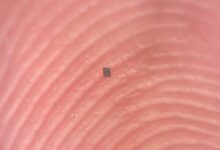 Robot Terkecil di Dunia dengan Fitur Program yang Hampir Tak Terlihat di Mata