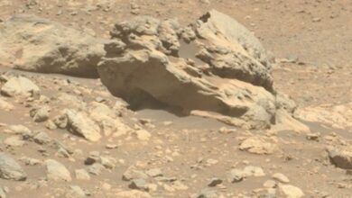 Rover NASA Temukan Batu Misterius di Mars, Diduga Asal Batu dari Luar Planet