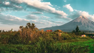Sarkawi Lumajang: Destinasi Wisata Alam Tenang untuk Healing dari Kesibukan Kota