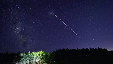 Satelit Starlink Hilang Kendali dan Terancam Jatuh: Apa Dampaknya bagi Pengguna?