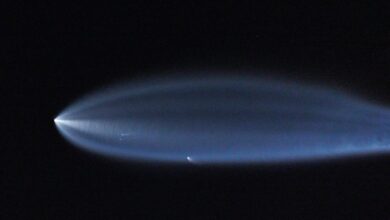 Sinyal Aneh dari Satelit Starlink Bisa Ganggu Operasi Penerbangan Antariksa secara Signifikan