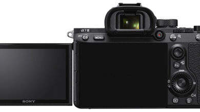 Sony α7 V Resmi Rilis: 30fps Tanpa Blackout dan Video 4K Profesional untuk Fotografer