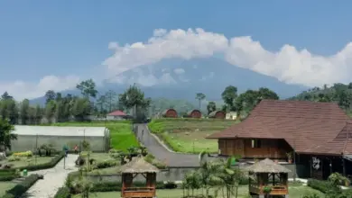 Temukan Keseruan dan Harga Tiket Terbaru D’Las Lembah Asri di Serang Purbalingga!