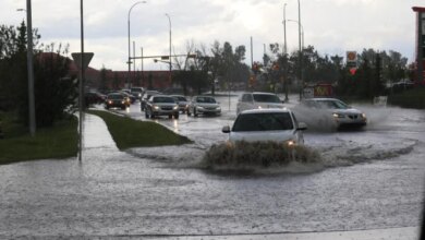 Terinspirasi Putroe Sambinoe Meutuah, Cara Efektif Bantu Korban Banjir Sumatra