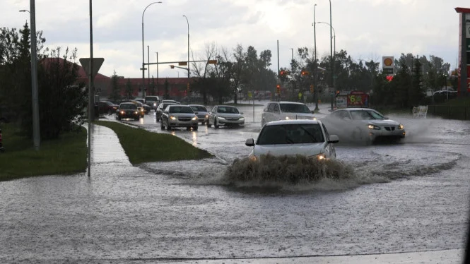 Terinspirasi Putroe Sambinoe Meutuah, Cara Efektif Bantu Korban Banjir Sumatra