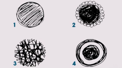 Tes Kepribadian: Pilihan Gambar Lingkaran Ungkap Trauma Masa Kecil secara Akurat