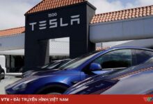 Tesla Pecahkan Rekor Penjualan Mobil Listrik di Norwegia Tahun 2025