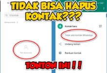 Tips Efektif Menghapus Kontak WhatsApp Orang Lain dari Ponsel Anda dengan Cepat