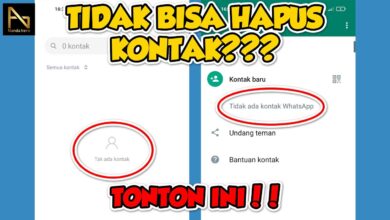 Tips Efektif Menghapus Kontak WhatsApp Orang Lain dari Ponsel Anda dengan Cepat
