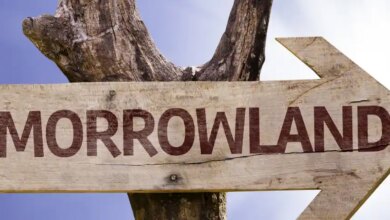 Tomorrowland: Festival Musik Elektronik Terbesar dan Paling Spektakuler di Dunia 2025