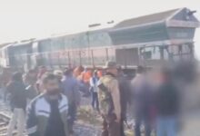 Tragis: 7 Gajah Liar Tewas Tertabrak Kereta Cepat di India, Dampak Infrastruktur Baru