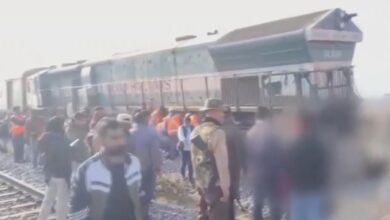 Tragis: 7 Gajah Liar Tewas Tertabrak Kereta Cepat di India, Dampak Infrastruktur Baru